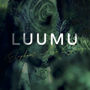 Cover Luumu Elephant Love Songs_small